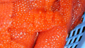 Salmon Roe in a bowl